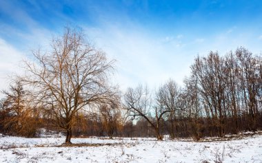 Vadideki güneşli bir kış manzarası
