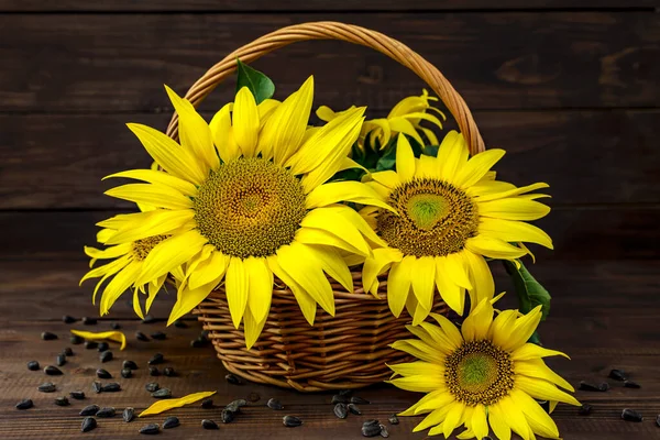 Wicker basket with beautiful yellow sunflowers and sunflower seeds on the wooden background.