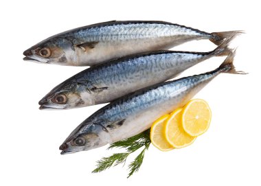 Limon ile dekore edilmiş beyaz izole uskumru çiğ balık.