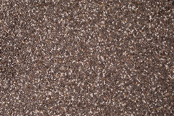 Doku siyah tohumlar chia veya Salvia hispanica 