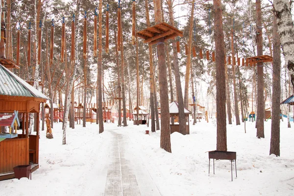 Park ağaçlarda kar