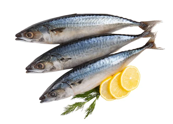 Limon ile dekore edilmiş beyaz izole uskumru çiğ balık.