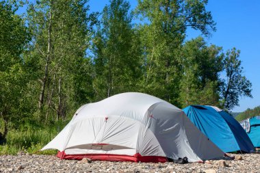 Ormanın kıyısında, çadırlı bir kamp alanı.