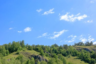 dağların tepesinde büyüyen yeşil orman üzerinde parlak yaz mavi gökyüzü. Dağlar, mavi gökyüzü ve ağaçlar ile güzel yaz manzara.