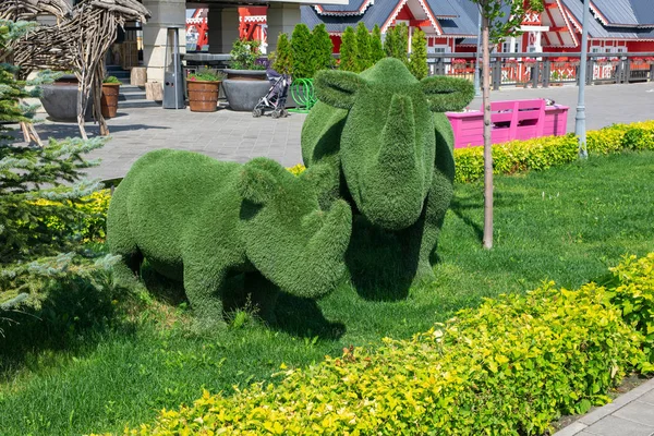 cub and mother rhinos created from bushes in green animals. Topiary Gardens. shaped bushes in the form of animals