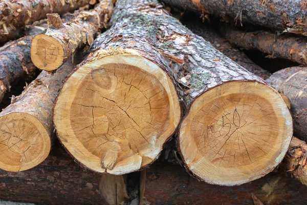 Wooden natural sawn logs as background, top view, flat lay — Stock Image Wooden Natural Sawn Logs Background Top View Flat Lay Royalty Free Stock Photos