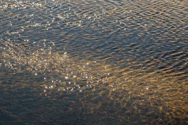 Surface Pond Ripples Water — Stock Photo, Image