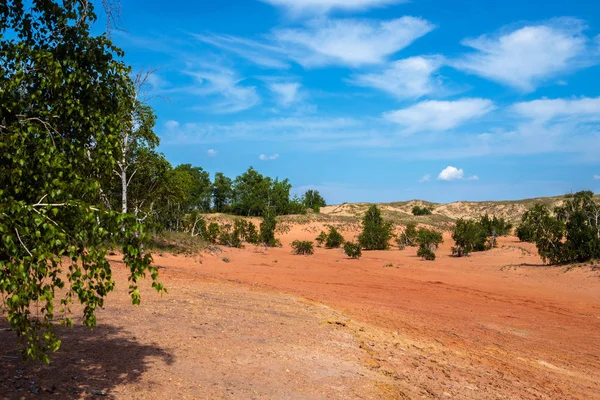 Bäume Sand Wüstenlandschaft Mit Blauem Himmel — Stockfoto