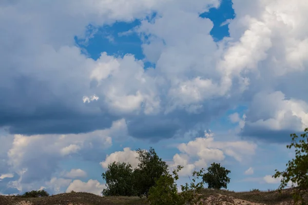 Деревья Песках Пустынный Пейзаж Голубым Небом — стоковое фото