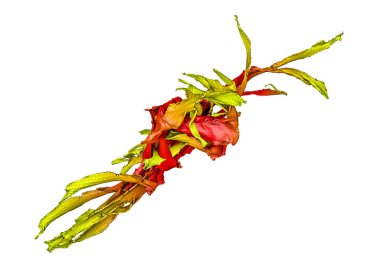 kırmızı turuncu soyut figür. Düşük poli modeli. 3D render