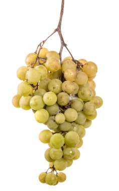 olgun sarı üzüm demet. beyaz bir arka plan üzerinde