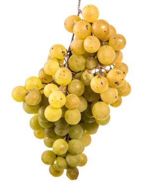 olgun sarı üzüm demet. beyaz bir arka plan üzerinde