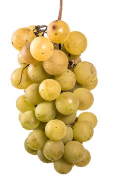olgun sarı üzüm demet. beyaz bir arka plan üzerinde