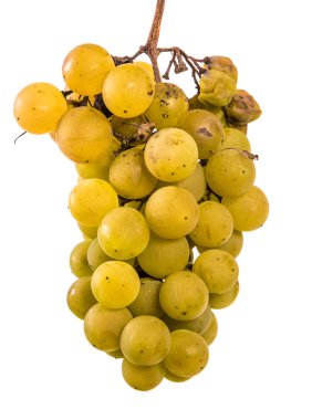 olgun sarı üzüm demet. beyaz bir arka plan üzerinde
