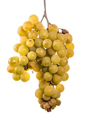 olgun sarı üzüm demet. beyaz bir arka plan üzerinde