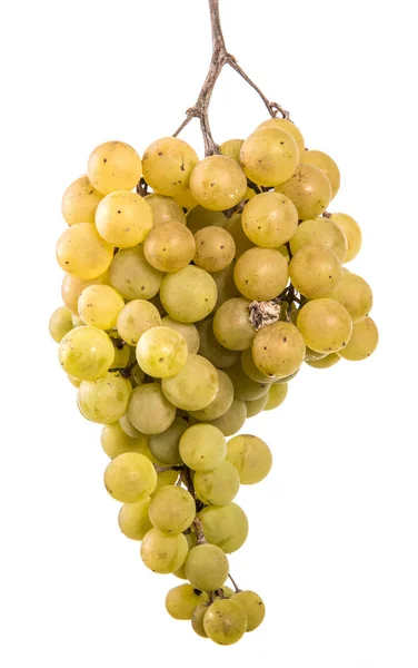 Bunch Ripe Yellow Grapes White Background — Stock Photo, Image