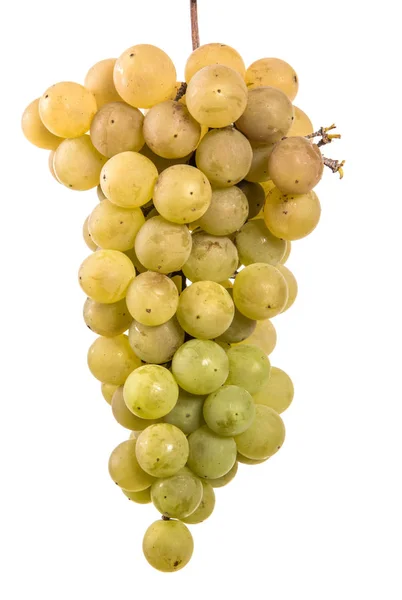 一串成熟的黄色葡萄 在白色背景上 — 图库照片