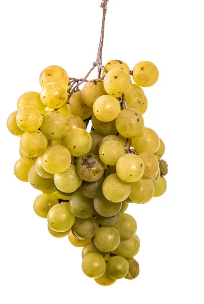 Bunch Ripe Yellow Grapes White Background — Stock Photo, Image