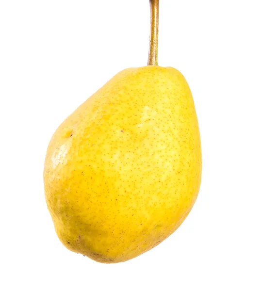 Frucht Der Gelben Reifen Birne Auf Weißem Hintergrund — Stockfoto