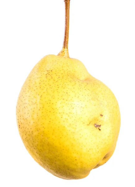 Fruto Pera Amarilla Madura Sobre Fondo Blanco — Foto de Stock