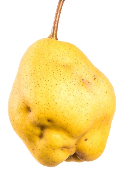 Sarı Olgun Armut Meyvesi Beyaz Bir Arka Plan Üzerinde — Stok fotoğraf