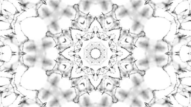 Abstract Background White Particles Black Background Kaleidoscope Background Rendering — Stock Video