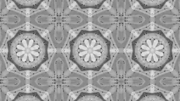 Abstrakter Hintergrund Weißer Partikel Auf Schwarzem Hintergrund Kaleidoskop Hintergrund Darstellung — Stockvideo