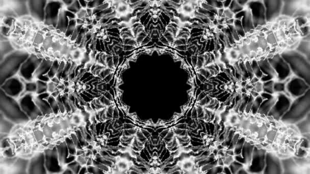 Abstract Background White Particles Black Background Kaleidoscope Background Rendering — Stock Video