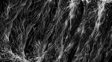 yavaş yavaş siyah bir arka plan üzerinde beyaz parçacıklar hareket ettirin. soyut arka plan. 3d render