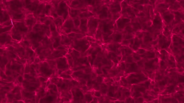 Изогнутые Трехмерные Формы Фиолетового Медленно Движутся Черном Фоне Абстрактный Фон — стоковое видео