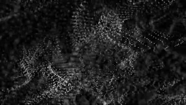 Wit Langzaam Bewegende Deeltjes Een Zwarte Achtergrond Abstracte Achtergrond Rendering — Stockvideo