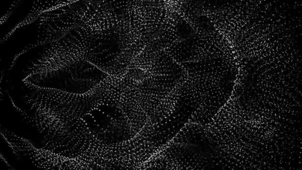 Weiße Sich Langsam Bewegende Partikel Auf Schwarzem Hintergrund Abstrakter Hintergrund — Stockvideo