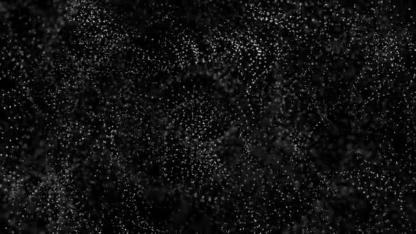 Білі Повільно Рухаються Частинки Чорному Тлі Абстрактний Фон Візуалізація — стокове відео