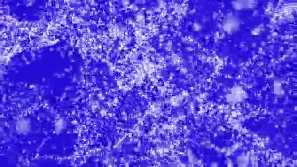 Partículas Brancas Voam Lentamente Sobre Fundo Azul Claro Espaço Abstrato — Vídeo de Stock