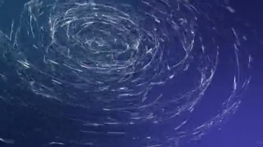 Beyaz soyut resim bir sarmal içine döner. 3D render