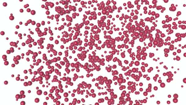 红色球体在白色背景下缓慢振动 抽象的背景 — 图库视频影像