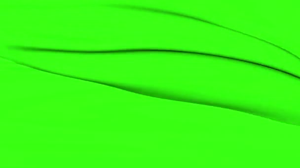 緑の布が風になびきます レンダリング — ストック動画