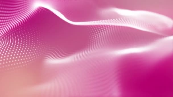 White Glowing Particles Move Pink Background Abstract Background Rendering — Stock Video