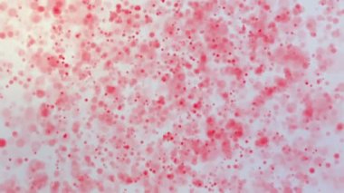 kırmızı yuvarlak parçacıkları hafif bir arka plan üzerinde hareket ettirin. animasyonlu arka plan 3d render