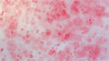 kırmızı yuvarlak parçacıkları hafif bir arka plan üzerinde hareket ettirin. animasyonlu arka plan 3d render