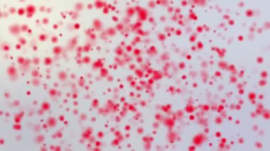 kırmızı yuvarlak parçacıkları hafif bir arka plan üzerinde hareket ettirin. animasyonlu arka plan 3d render