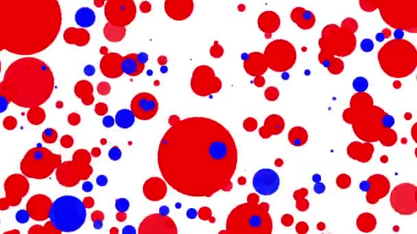 Rood Blauw Ronde Deeltjes Verplaatsen Een Witte Achtergrond Abstracte Animatie — Stockvideo