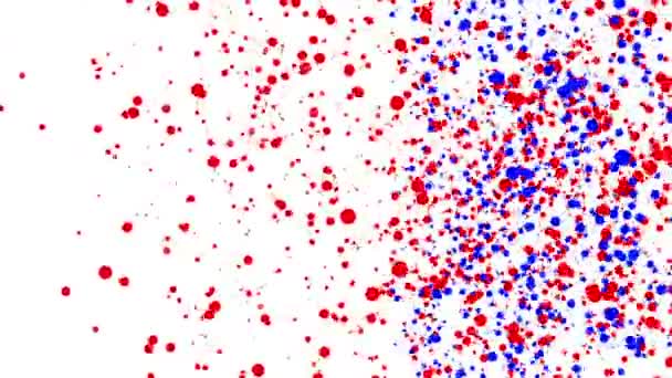 Partículas Redondas Vermelhas Azuis Movendo Sobre Fundo Branco Animação Abstrata — Vídeo de Stock
