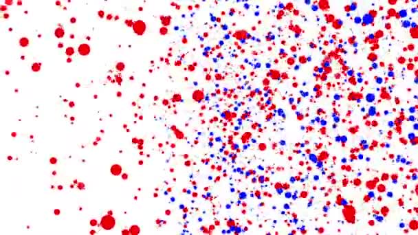 Partículas Redondas Rojas Azules Que Mueven Sobre Fondo Blanco Animación — Vídeo de stock