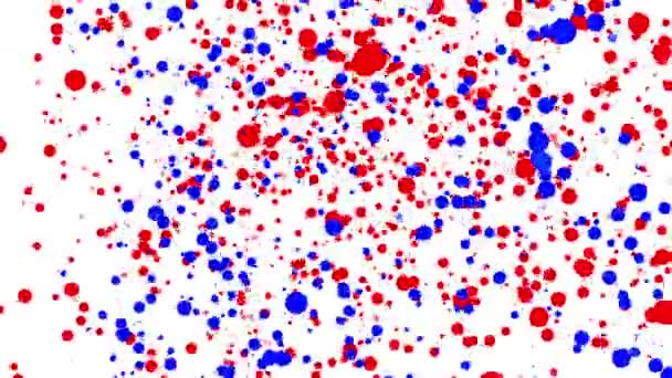 Червоні Сині Круглі Частинки Рухаються Білому Тлі Абстрактна Анімація Візуалізація — стокове відео