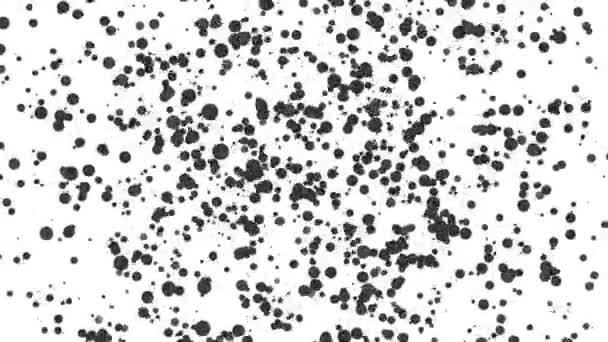 Partículas Redondas Grises Volando Sobre Fondo Blanco Animación Abstracta Renderizado — Vídeos de Stock
