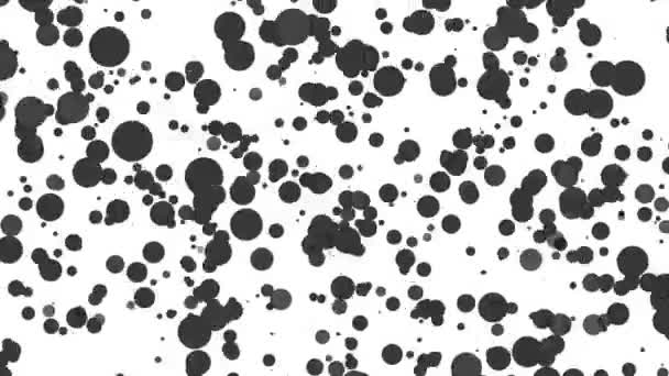 Szary Okrągły Cząstek Latający Białym Tle Abstrakcyjna Animacja Renderowania — Wideo stockowe