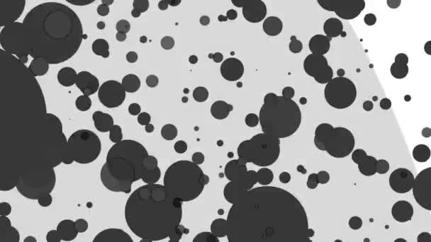 Graue Runde Teilchen Die Auf Weißem Hintergrund Fliegen Abstrakte Animation — Stockvideo