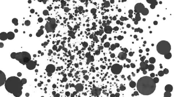 Partículas Redondas Cinzentas Que Voam Sobre Fundo Branco Animação Abstrata — Vídeo de Stock
