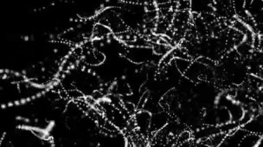 siyah bir arka plan üzerinde hareketli beyaz yuvarlak parçacıkları. alan derinliği ile animasyonlu arka plan. 3D render